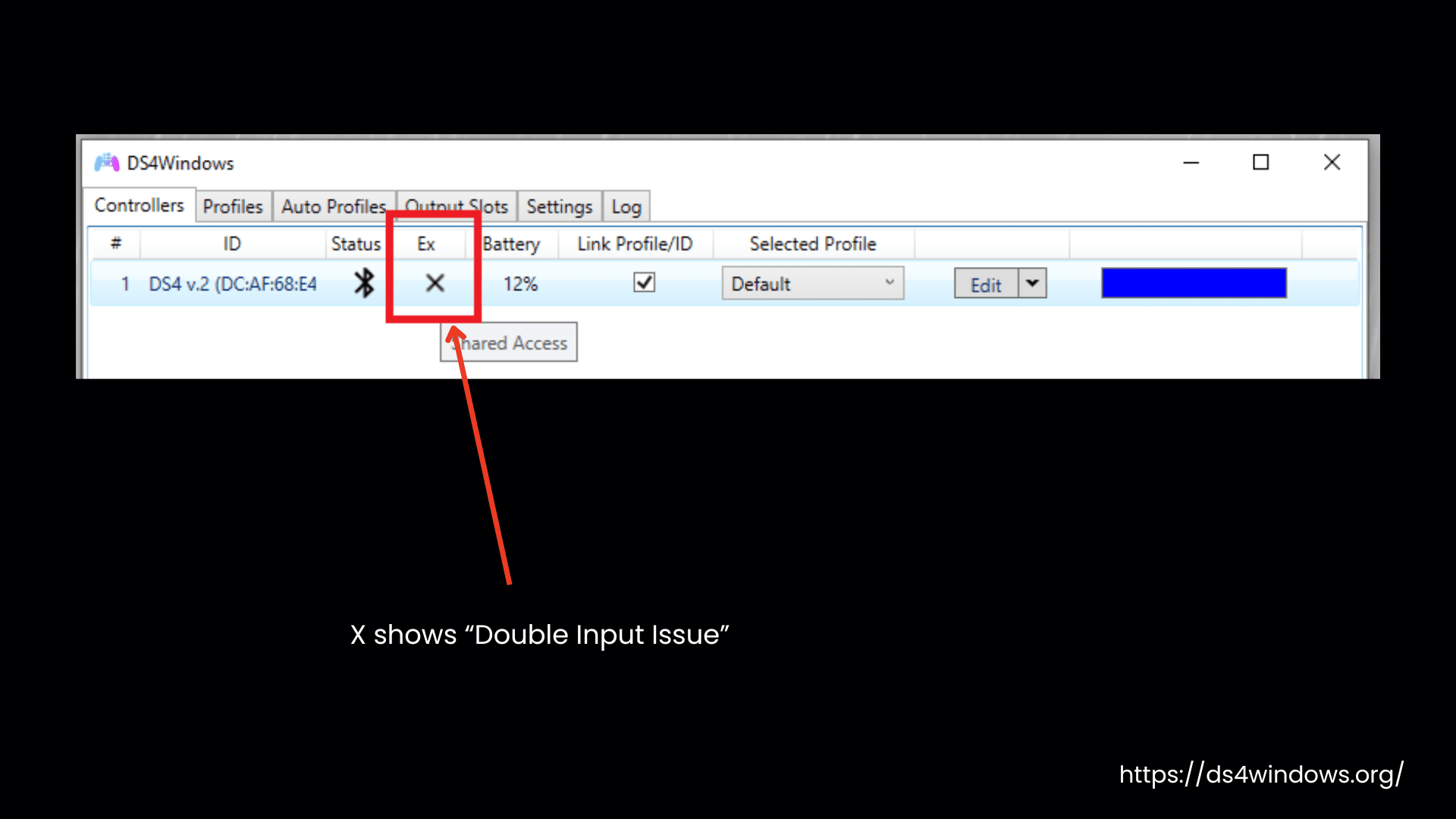 Double Input Issue